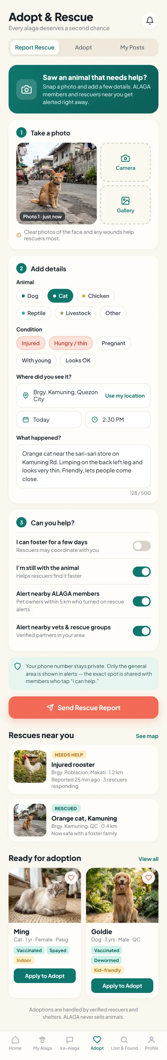 Sending a rescue report in ALAGA